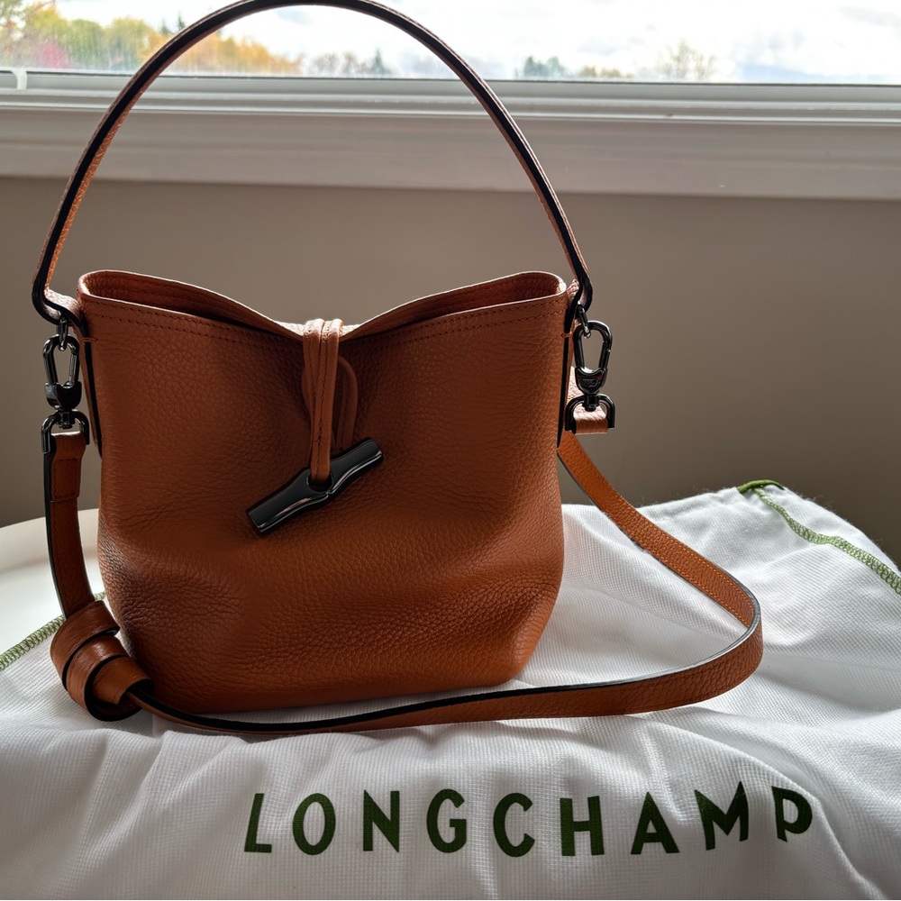 Longchamp roseau bucket bag